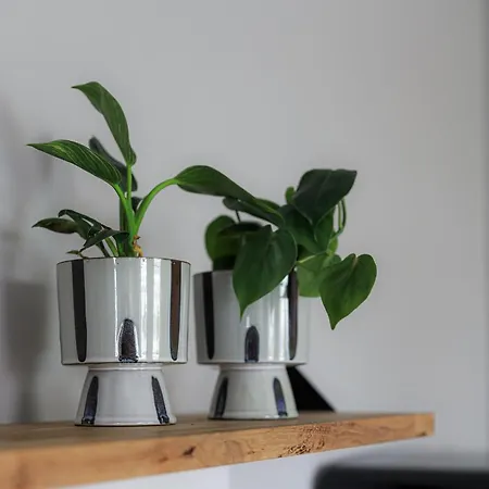 Sea Zone Apartament Przy Parku * Wejherowo